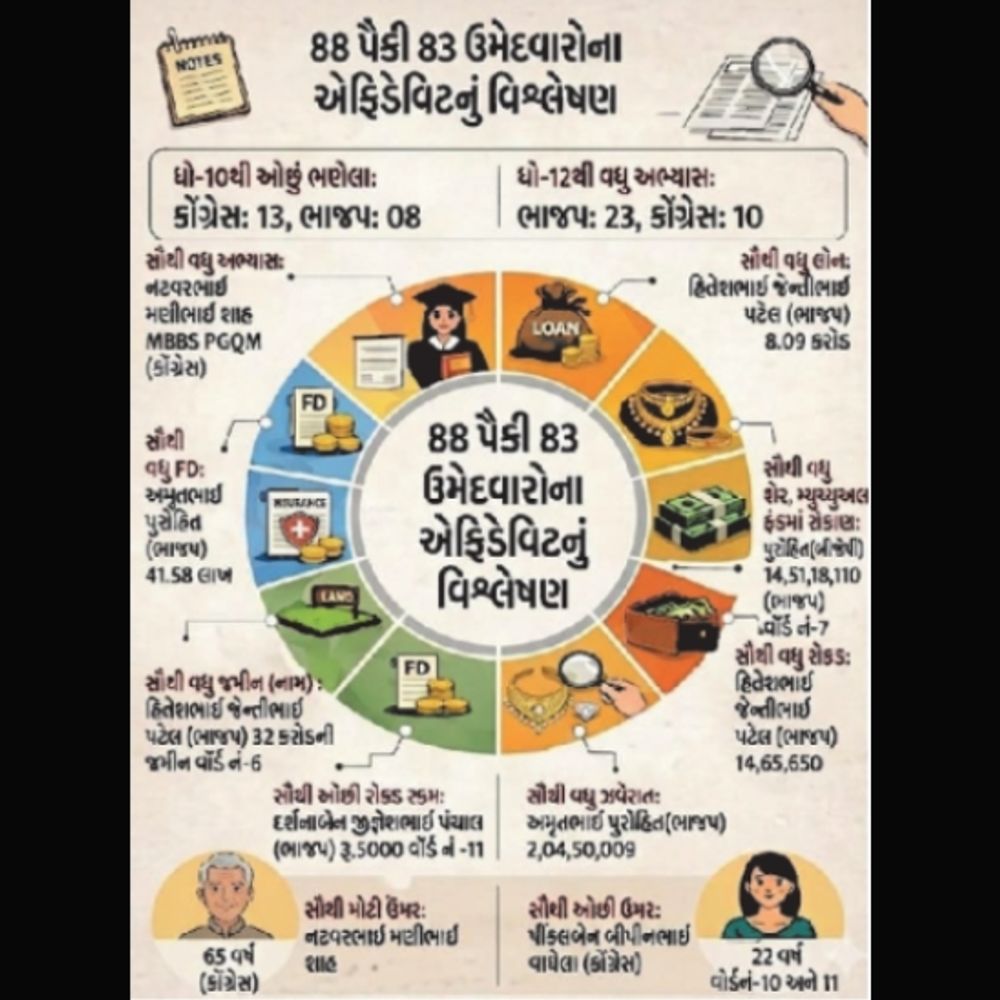 ઉમેદવારોની સંપત્તિ: હિંમતનગર નગરપાલિકા વોર્ડ નં. 7 ના ઉમેદવાર પાસે સૌથી વધુ 2 કરોડના જ્વેલરી (Jewellery).