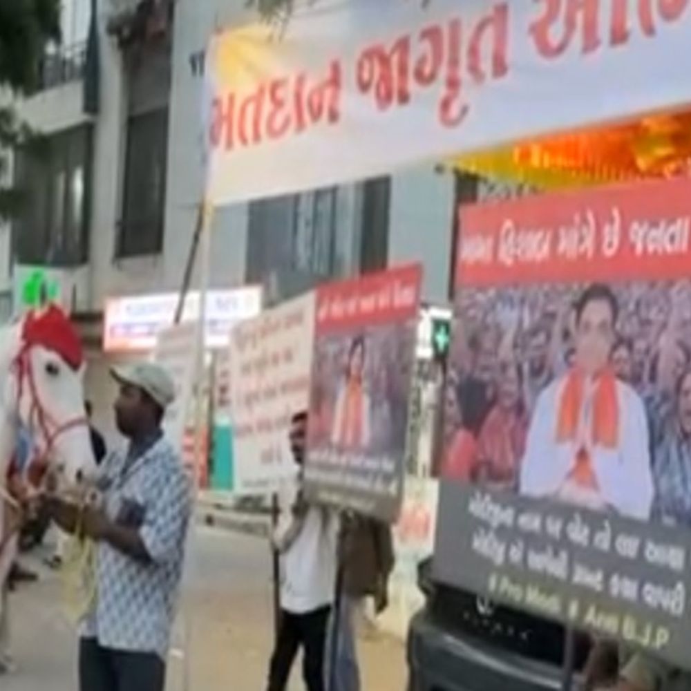 'તું હરાવવા બધા પ્રયત્ન કરી લે, તારો પર્સનલ હિસાબ કરીશ':વોર્ડ-10ના ભાજપ ઉમેદવાર નીતિન દોંગાનો આડિયો વાઈરલ, કહ્યું-'મીડિયાના બાપથી નથી ડરતો, તું કઈ વાડીનો છે?'