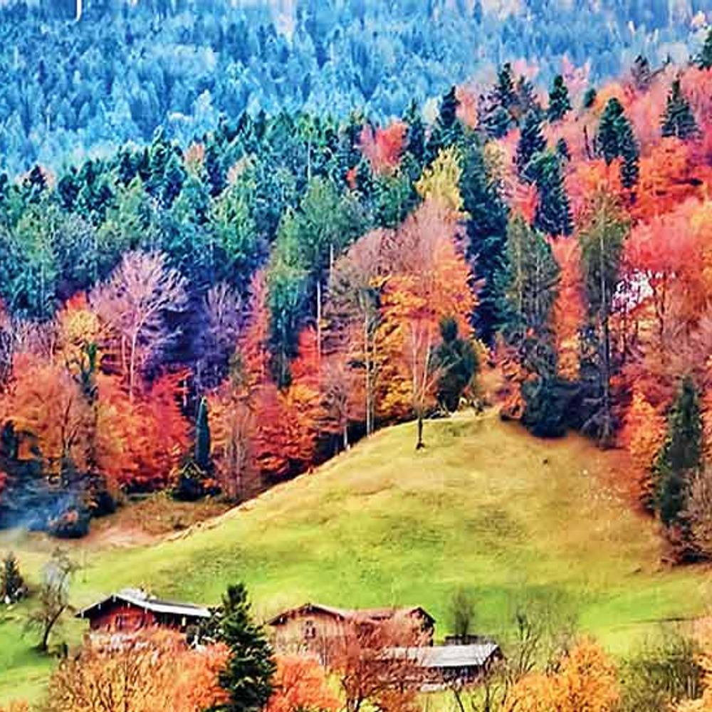 પ્રવાસ:વિયેનાની સફર