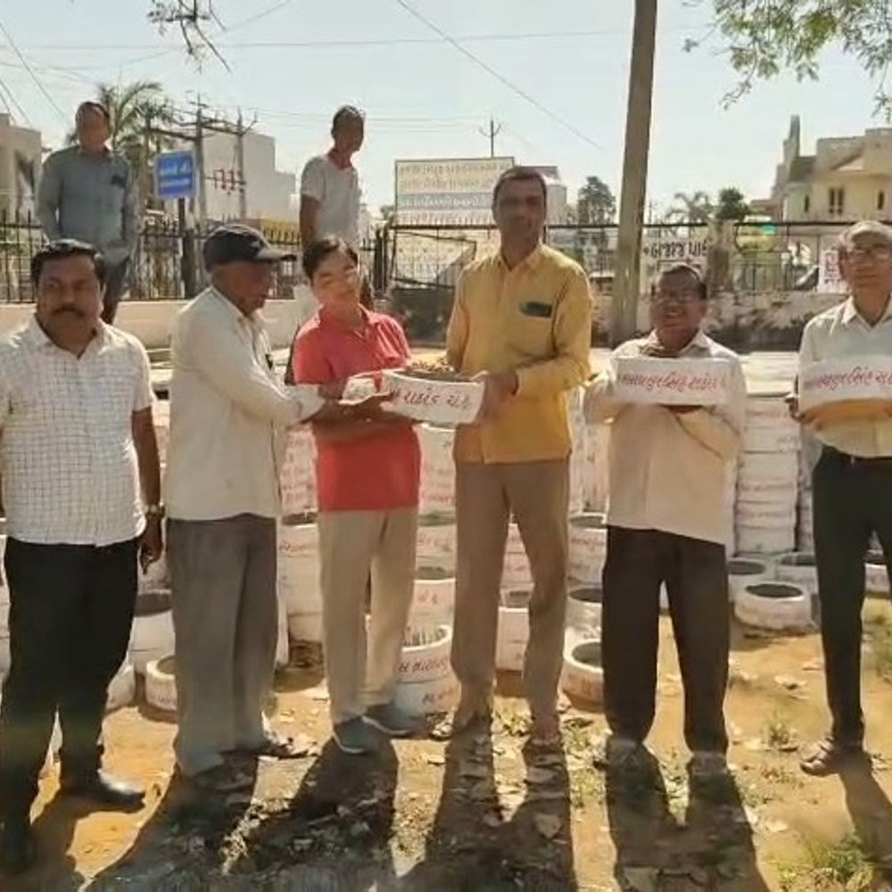 હિંમતનગરમાં પક્ષીઓ માટે 500 કુંડાનું વિતરણ:ભારત વિકાસ પરિષદ અને ટ્રસ્ટ દ્વારા નિ:શુલ્ક વિતરણ કરાયું