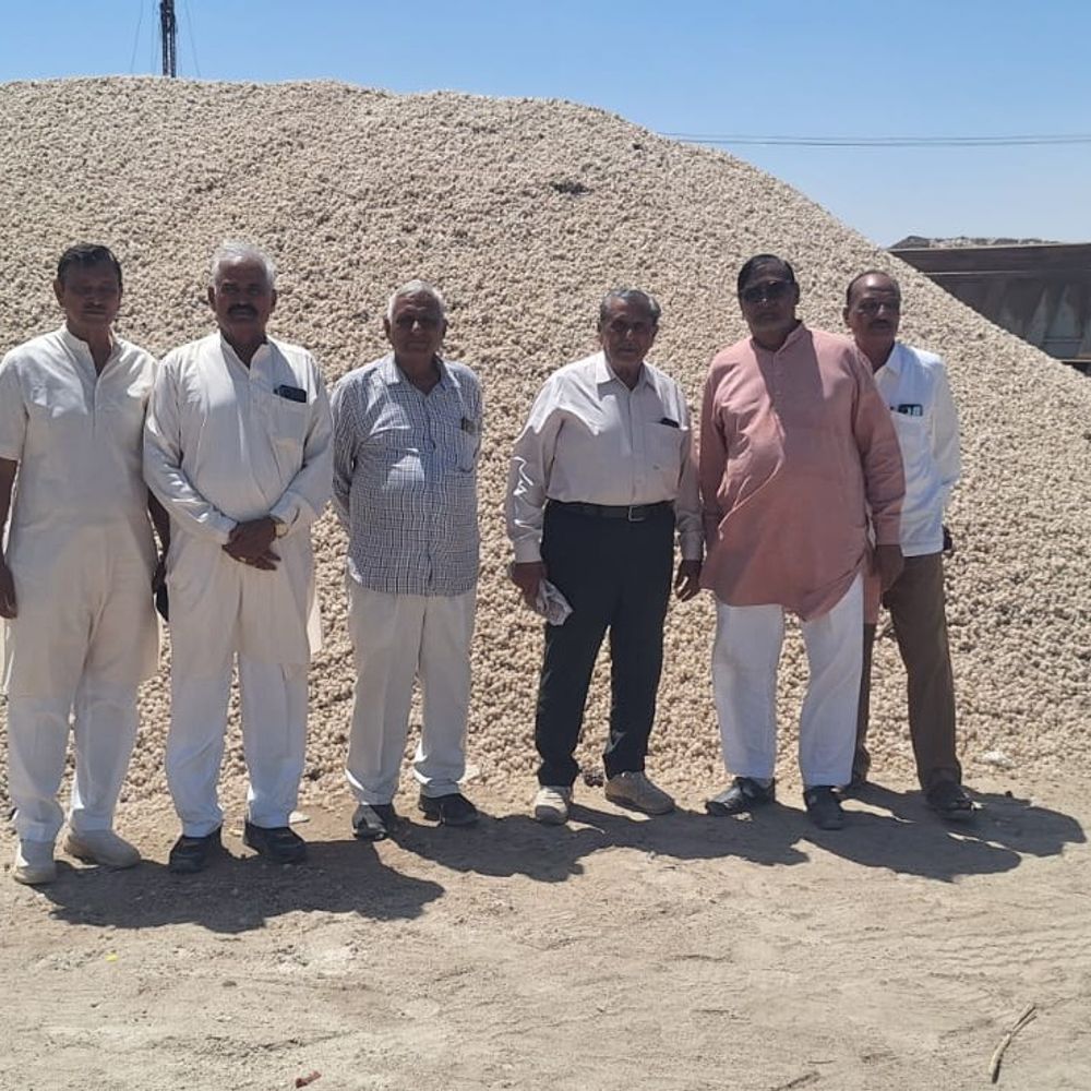 ખારાઘોડા રણમાં 15 લાખ ટન મીઠું અટવાયું:ડીઝલની અછતથી પરિવહન અને સંગ્રહમાં મુશ્કેલી, વેપારીઓ કલેકટરને રજૂઆત કરવા પહોંચ્યા