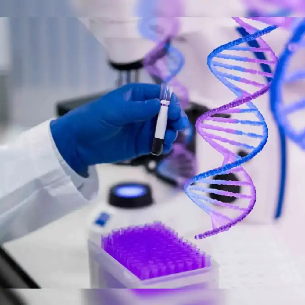 રાજકોટમાં સાસરિયાના ત્રાસથી પરિણીતાના ગર્ભમાં બાળકનું મોત, પતિએ DNA ટેસ્ટ કરાવ્યો!