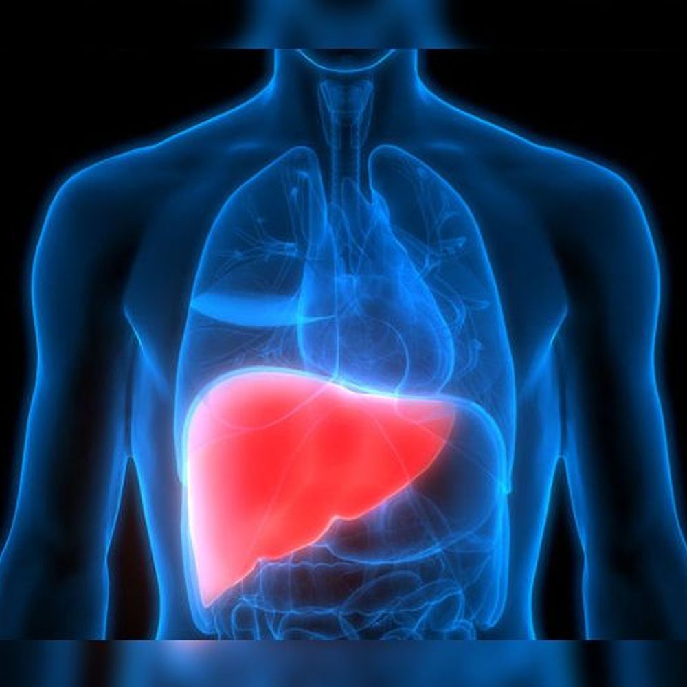 આજે વર્લ્ડ લીવર ડે: ડાયાબિટીસથી 10 માંથી 3 વ્યક્તિને ફેટી લીવરનું જોખમ.