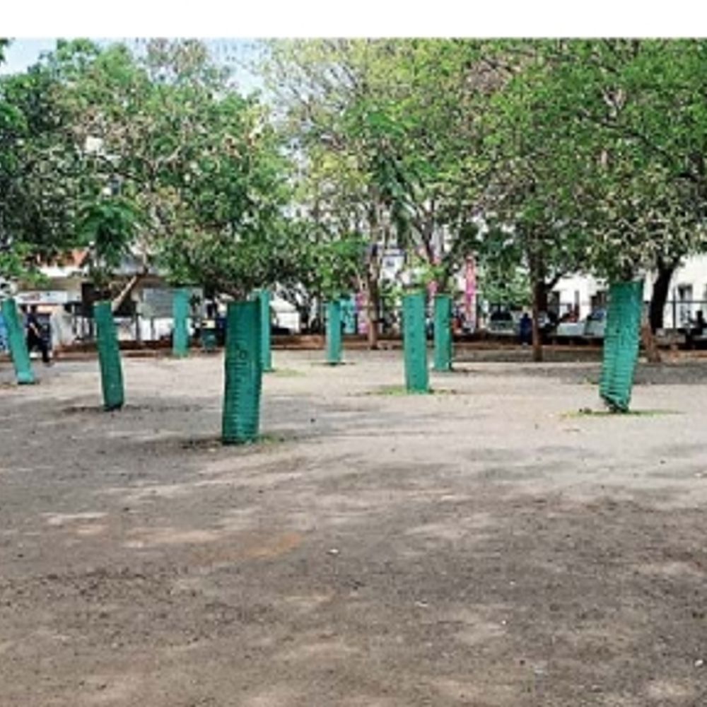 ભાસ્કર ગ્રાઉન્ડ રિપોર્ટ‎:સ્વામિનારાયણ ચોક પાછળ આવેલો મનપાનો બગીચો હરિયાળીને બદલે ઉજજ્ડ બની ગયો