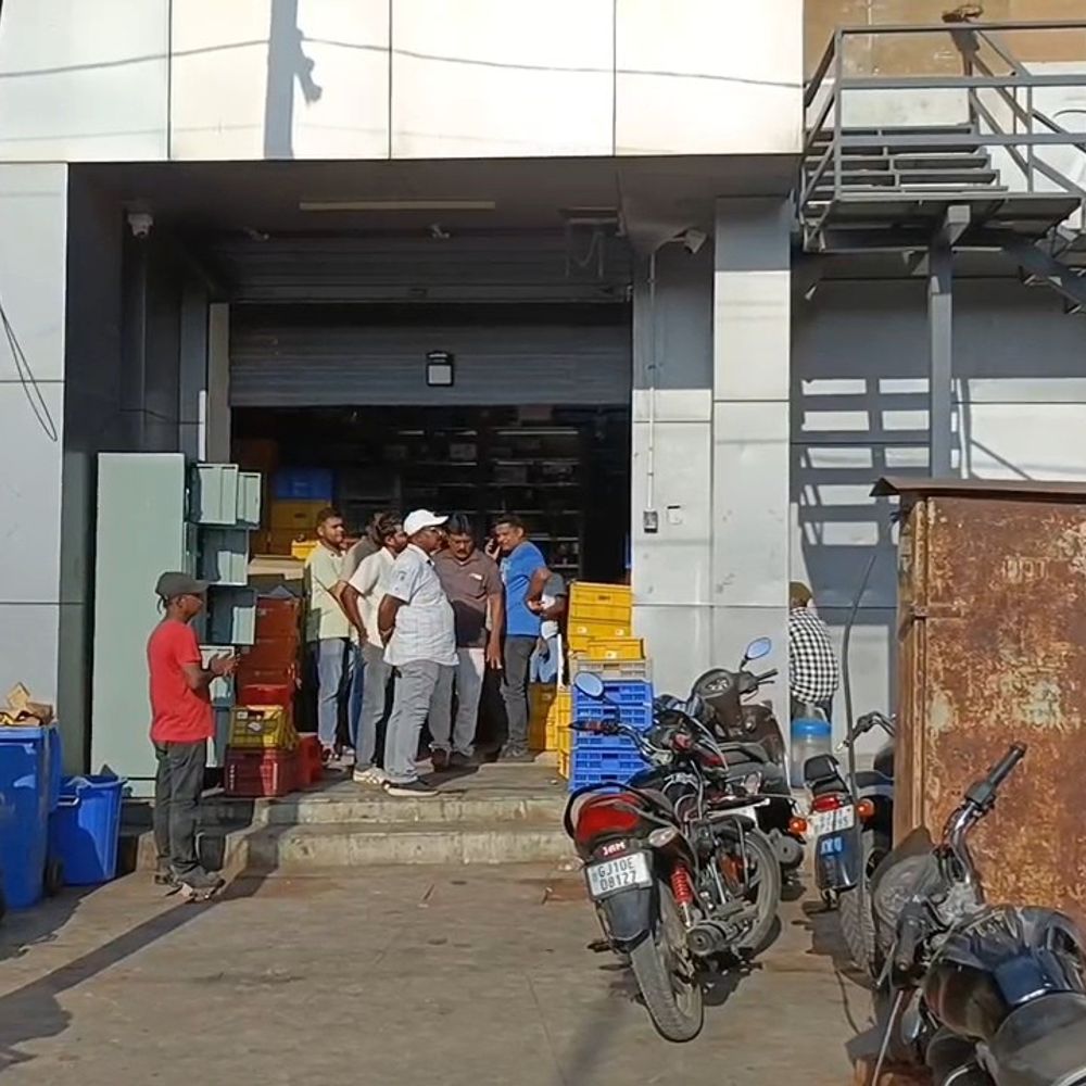 જામનગરમાં બ્લીન્કીટનું વેચાણ અટકાવાયું:અસ્વચ્છતા, પેસ્ટ કંટ્રોલના અભાવે ફૂડ શાખાએ કાર્યવાહી કરી