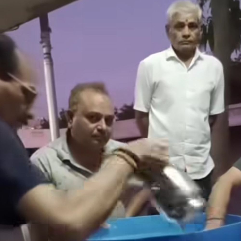 દામનગરમાં જીવદયા નંદી સેવા ટ્રસ્ટ દ્વારા છાસ વિતરણ:ઉનાળામાં દૈનિક 500 પરિવારોના 2000 લોકોને મળે છે લાભ