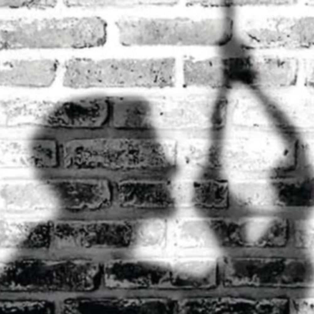 કન્સ્ટ્રક્શન સાઇટ પર શ્રમિકનો આપઘાત:માંજલપુર વિસ્તારમાં યુવકે ગળાફાંસો ખાઈ આપઘાત કરી લેતા ચકચાર મચી, યુવક મૂળ બિહારનો હોવાનું સામે આવ્યું