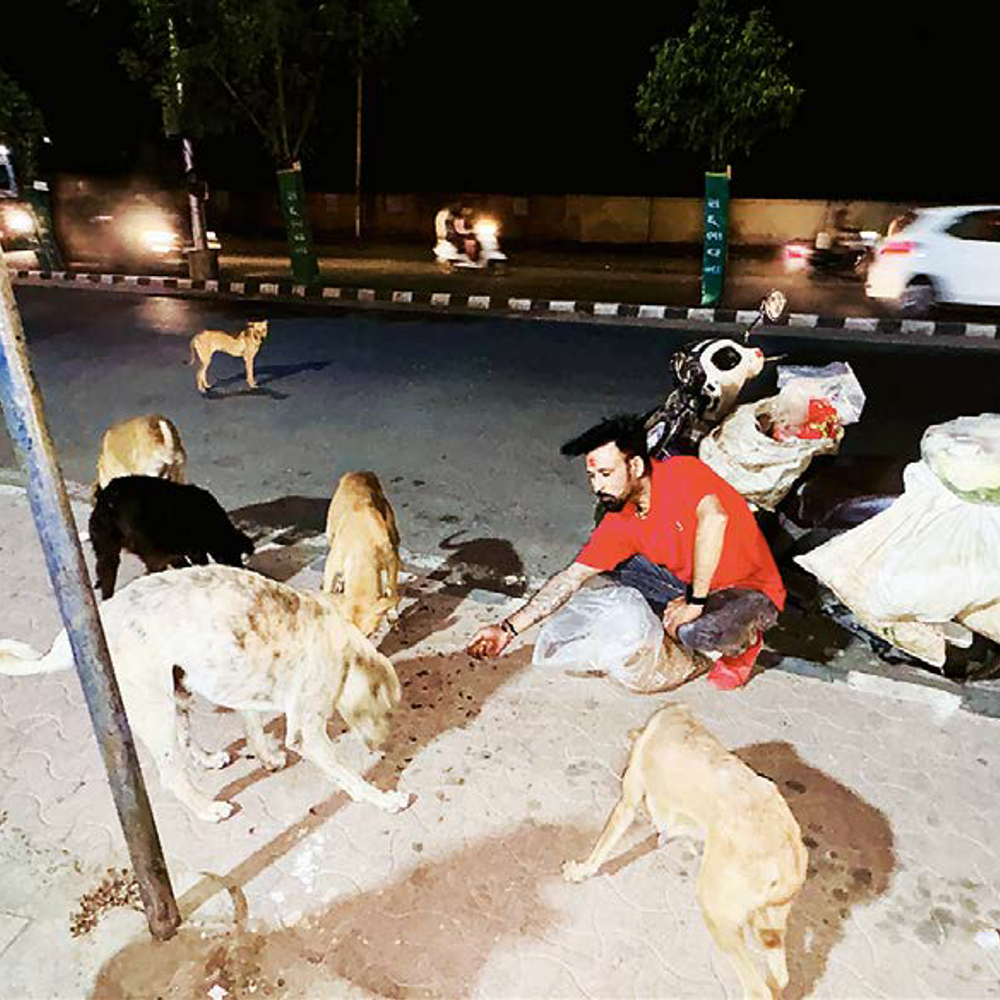 બાઈક પર મ્યુઝિક સાથે રોજ 100થી વધુ શ્વાનો-ગાયોની સેવા