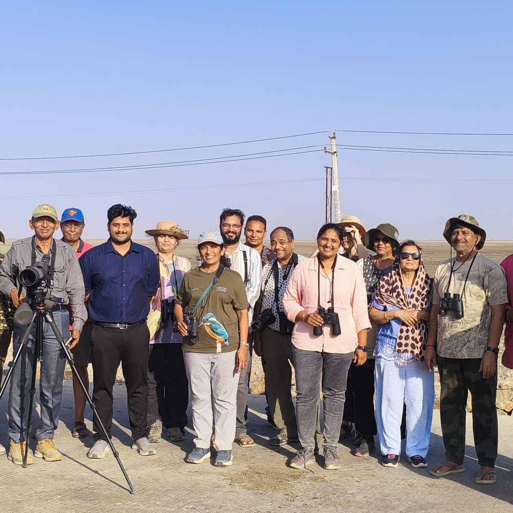 પિંક સેલિબ્રેશન: 85 પક્ષી પ્રેમીઓએ પોરબંદરમાં ફ્લેમિંગોના પ્રણય નૃત્યની ઉજવણી કરી.