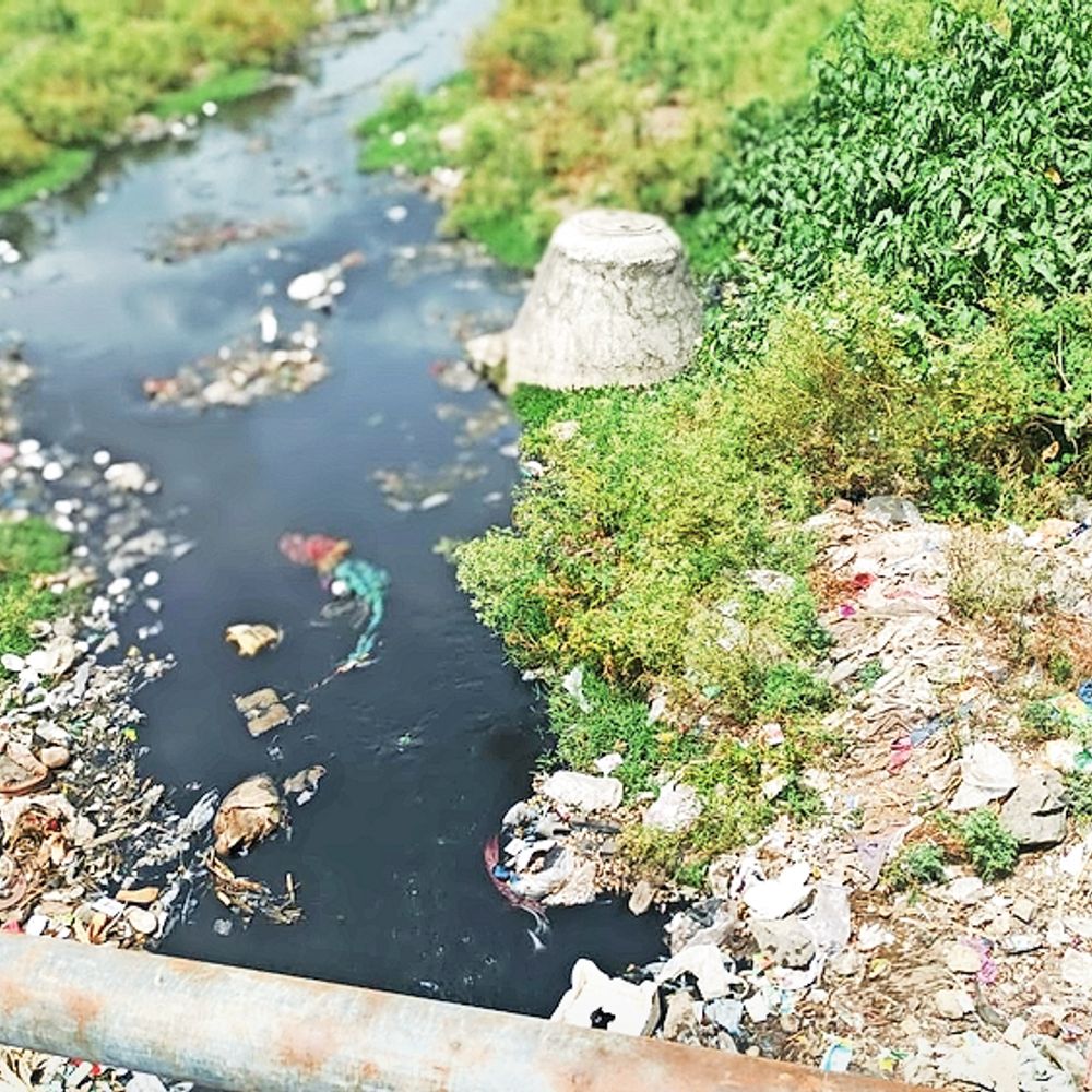 શહેરના વિકાસ માટે અપાયેલા વચનો ભૂલાયા:વચન : RCC રોડ, સિનિયર સિટીઝન પાર્ક બનાવીશું - સફાઈ કરીશું ; વાસ્તવિક્તા : એકેય પાર્ક ન બનાવ્યો -જે રસ્તા બન્યા તે પણ નબળા