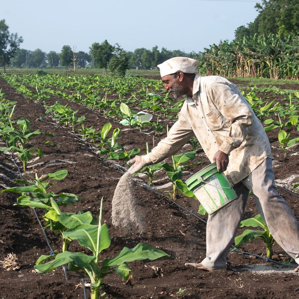 ઈરાન-યુદ્ધને કારણે ભારતમાં ખાતર ઉત્પાદનમાં 25% ઘટાડો:જાણો- ઉત્પાદન ઘટવાના શું કારણો છે અને તેની દેશ પર શું અસર થશે?