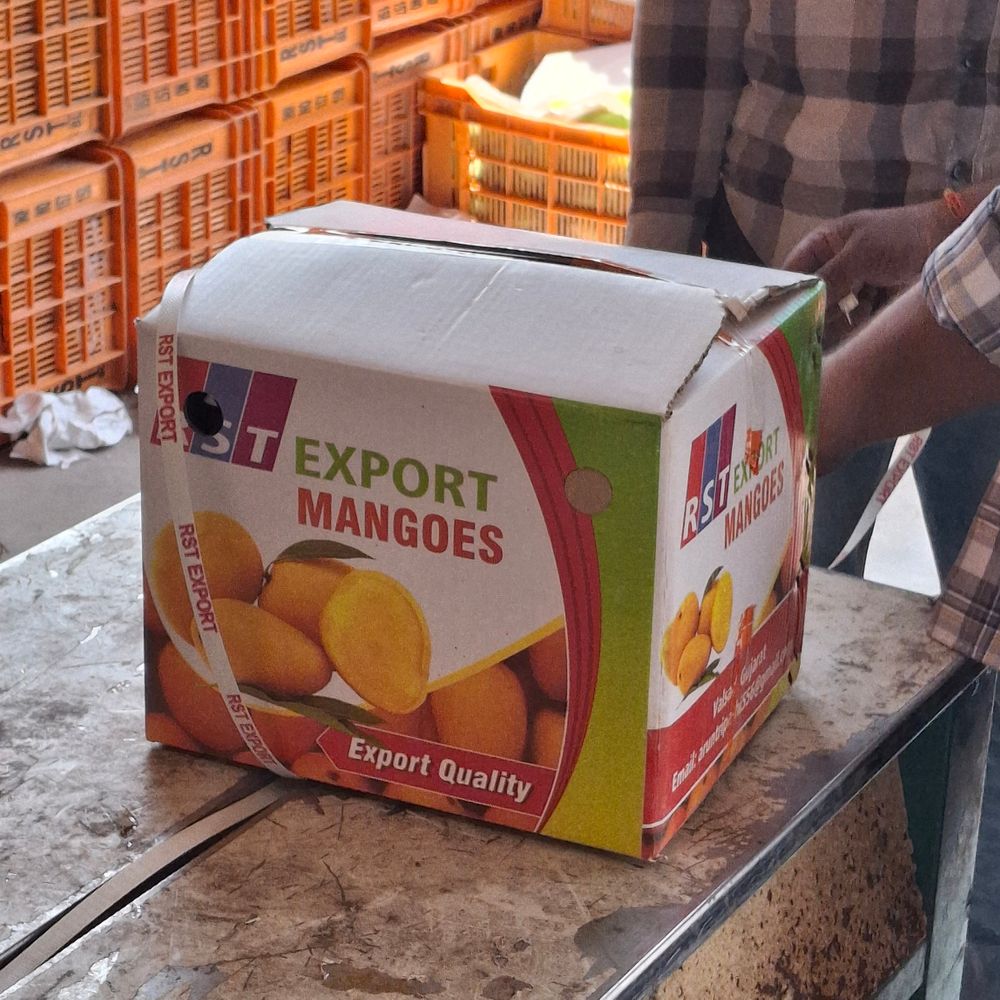 મિડલ ઈસ્ટ સંઘર્ષ વલસાડમાં કેરી નિકાસ બજારમાં કડાકો:ગલ્ફ દેશોમાં મોકલાવેલા 360 જેટલા કન્ટેનર ગુમ; દૈનિક 400 કન્ટેન્ટરની સામે હાલ 25 કન્ટેન્ટરની જ નિકાસ