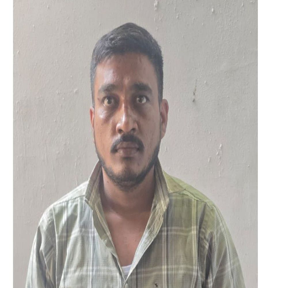 આણંદમાં ₹8.50 લાખની છેતરપિંડી કરનારો ઝડપાયો:સોનાના દાગીના અને કારના સોદામાં વિશ્વાસઘાત કરનાર મિતુલ પઢીયારની ધરપકડ