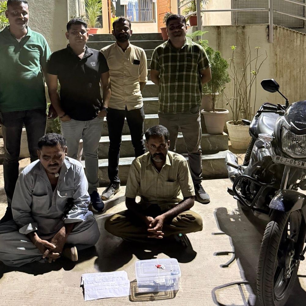 હથિયાર સાથે બે પરપ્રાંતિયો ઝડપાયા:સ્થાનિક સ્વરાજ્યની ચૂંટણી ટાણે રાજસ્થાનના બે શખસો હથિયાર સાથે ઝડપાયા, જિલ્લા SOGની કાર્યવાહી