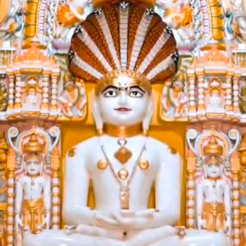 બોટાદમાં પાર્શ્વનાથ જિનાલયની 36મી સાલગીરી ઉજવાઈ:ગિરિરાજ જૈન સંઘ દ્વારા ધ્વજારોહણ કરાયું, મોટી સંખ્યામાં ભાવિકો હાજર