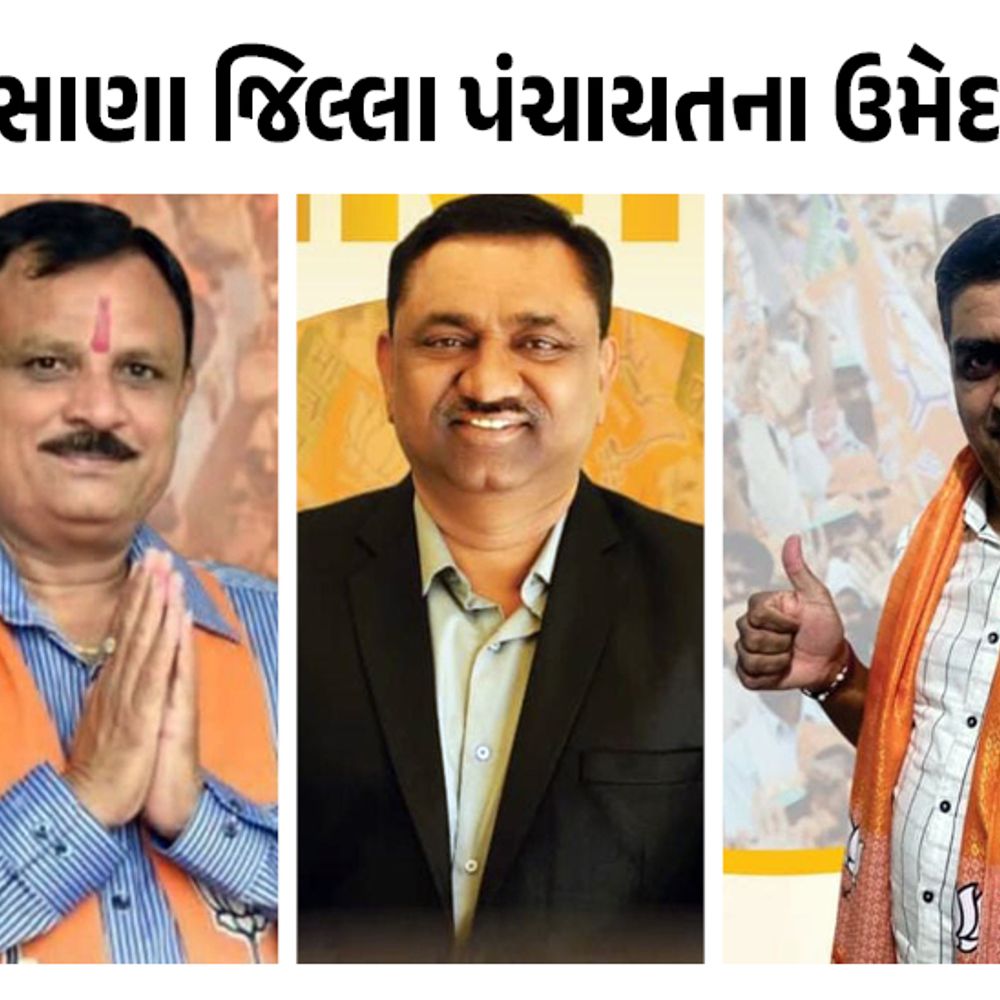મહેસાણામાં સ્થાનિક સ્વરાજ્યની ચૂંટણી 2026:મહેસાણા જિલ્લા અને તાલુકા પંચાયતની તમામ બેઠકો પરના ઉમેદવારોનું ચિત્ર સ્પષ્ટ, જુઓ નામ સાથેનું સંપૂર્ણ લિસ્ટ