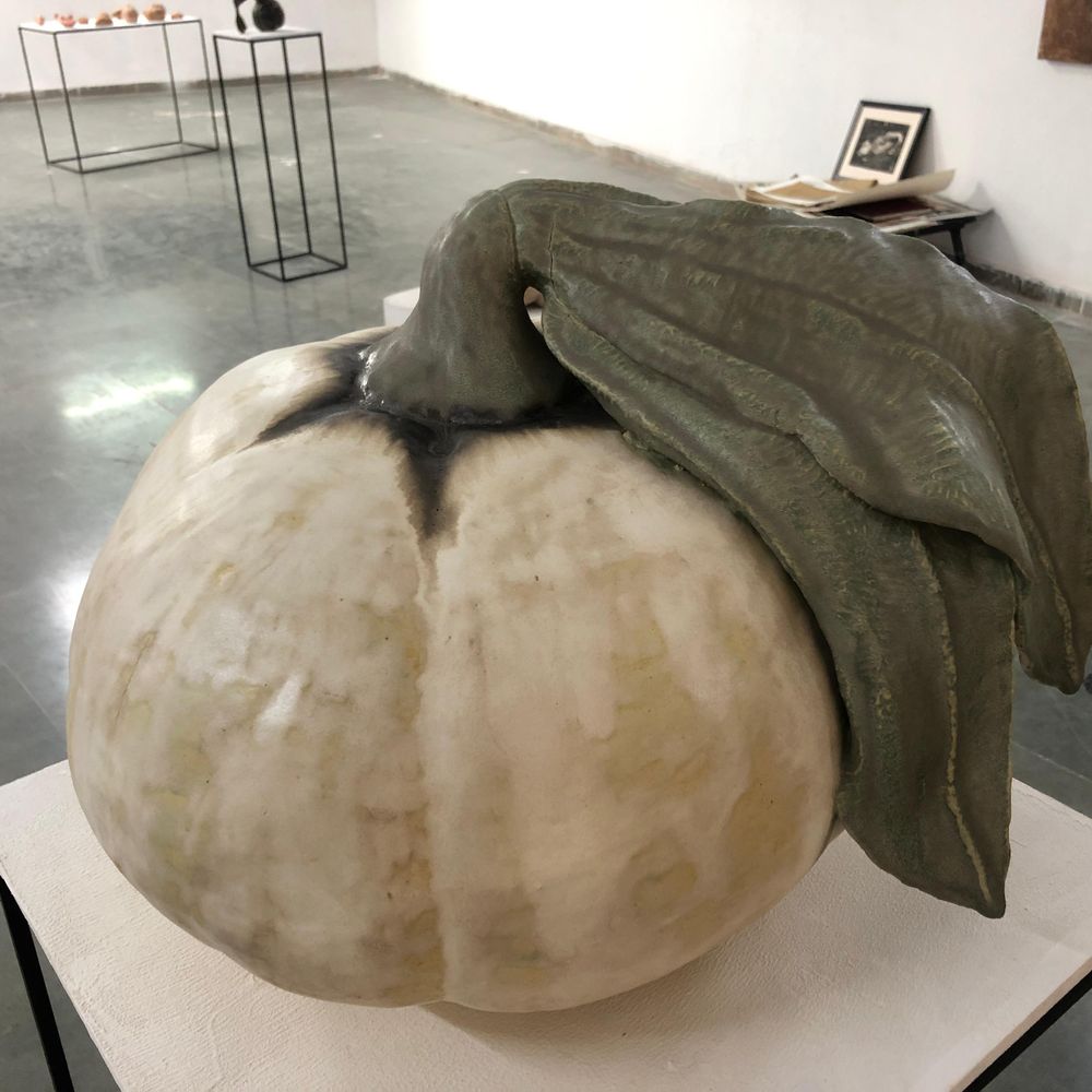 વી.એન.એસ.જી.યુ. ફાઇન આર્ટ્સ વિભાગની 17મી વાર્ષિક આર્ટ ડિસ્પ્લે:પ્રદર્શન 22 થી 25 એપ્રિલ સુધી ખુલ્લું, વિદ્યાર્થીઓની કૃતિઓ રજૂ