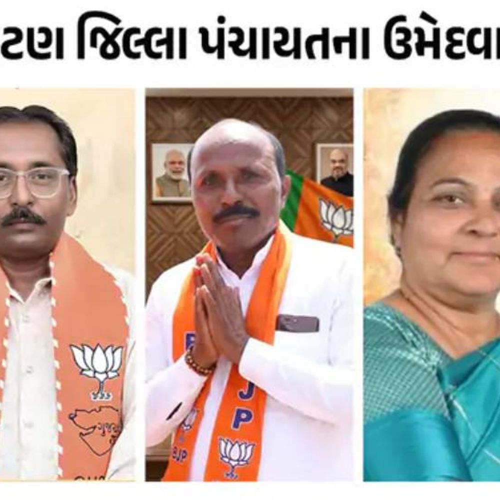 પાટણ સ્થાનિક સ્વરાજ્ય ચૂંટણી 2026: ભાજપ, કોંગ્રેસ અને AAP વચ્ચે ટક્કર, ઉમેદવારોનું લિસ્ટ સ્પષ્ટ.