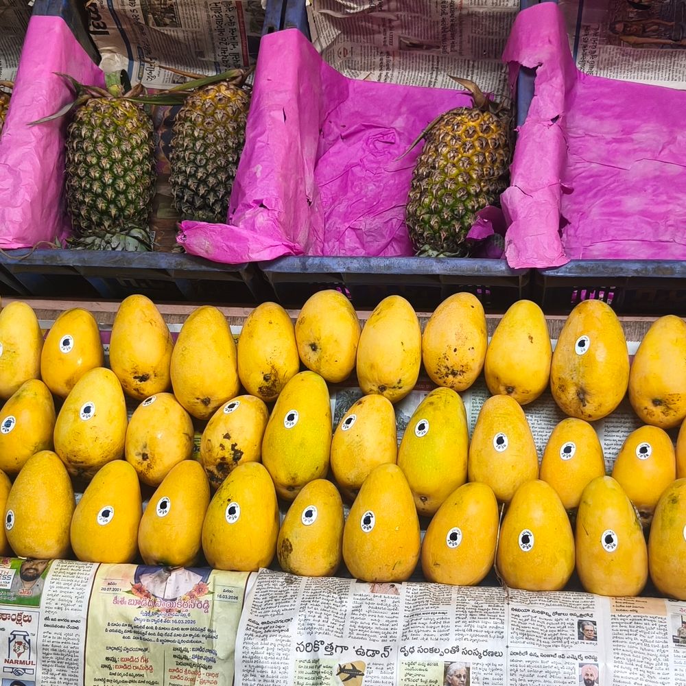 કેરીની મીઠાશ મોંઘી બની:કમોસમી વરસાદથી કેરીમાં બગાડ થતા 75% આવક ઘટતાં ભાવમાં 20 રૂ.નો ઉછાળો, કિલોના ભાવ 100