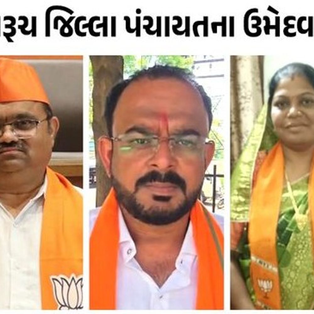 ભરૂચ જિલ્લાની ચૂંટણીનું પરિણામ:જાણો નગરપાલિકા, જિલ્લા અને તાલુકા પંચાયતની કઈ બેઠક પર કઈ પાર્ટીએ બાજી મારી