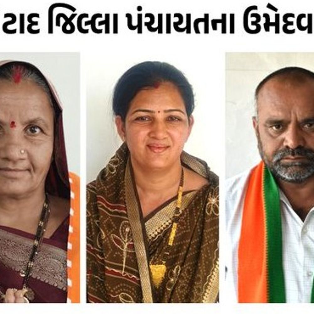 બોટાદ જિલ્લા-તાલુકા પંચાયતની તમામ બેઠકોના ઉમેદવારોનું ચિત્ર સ્પષ્ટ:બોટાદ સ્થાનિક સ્વરાજની ચૂંટણીમાં ભાજપ-કોંગ્રેસ અને AAP વચ્ચે ટક્કર, જુઓ ઉમેદવારોનું લિસ્ટ