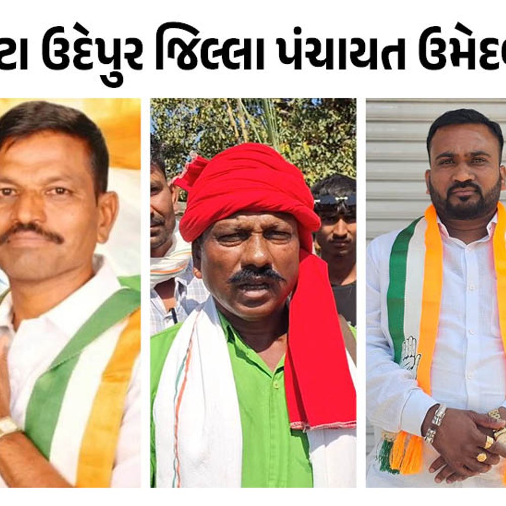 છોટાઉદેપુર જિલ્લાની ચૂંટણીનું પરિણામ:જાણો નગરપાલિકા, જિલ્લા અને તાલુકા પંચાયતની કઈ બેઠક પર કઈ પાર્ટીએ બાજી મારી