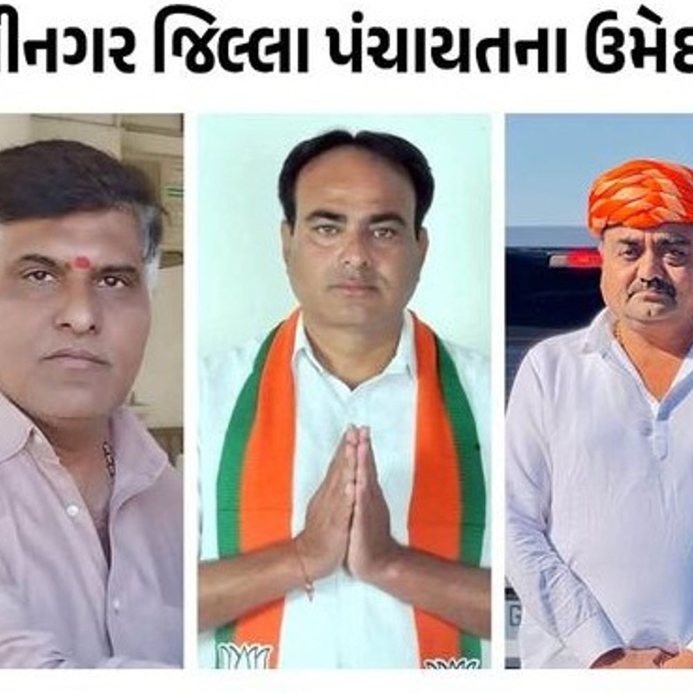 સ્થાનિક સ્વરાજ્યની ચૂંટણીમાં ત્રિપાંખિયો જંગ જામશે:ગાંધીનગર જિલ્લા-તાલુકા પંચાયતની તમામ બેઠકોના ઉમેદવારોનું ચિત્ર સ્પષ્ટ; જુઓ લિસ્ટ