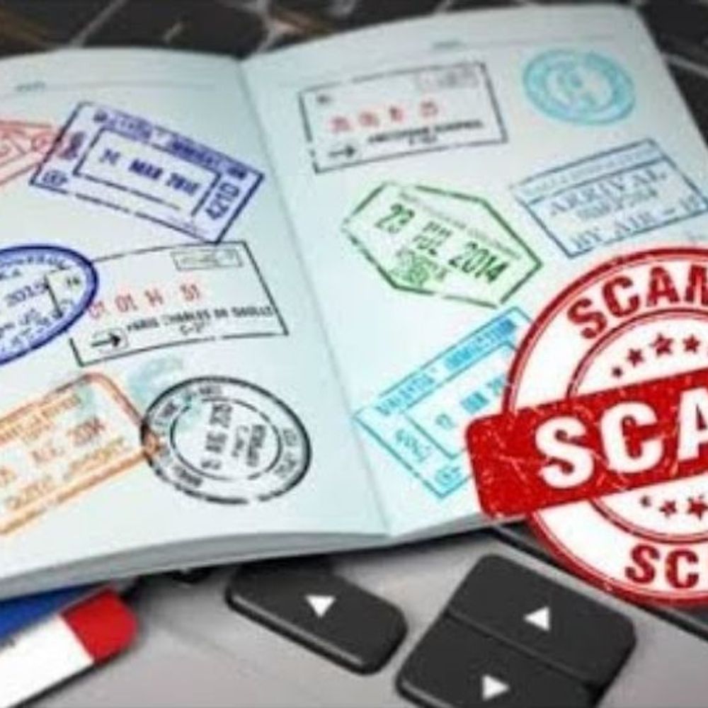 રશિયાના વર્ક વિઝાના નામે વેપારી સાથે દોઢ લાખની ઠગાઈ:વડોદરાનો ઠગ એજન્ટ ઓફિસને તાળું મારીને રફુચક્કર થઈ ગયો, આરોપીએ આપેલો ચેક પણ બાઉન્સ થયો