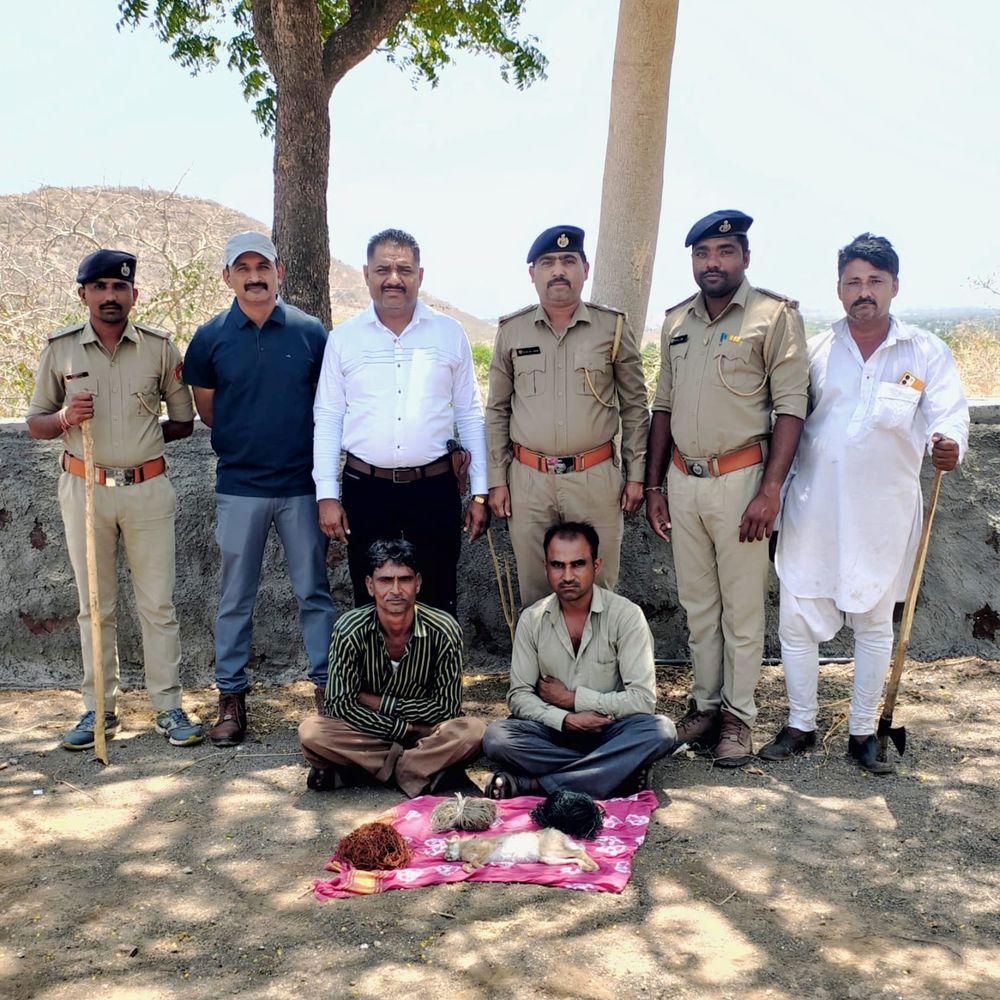 વન વિભાગની કાર્યવાહી:મિતિયાળામાં સસલાનો શિકાર કરતા 2 ઝડપાયા