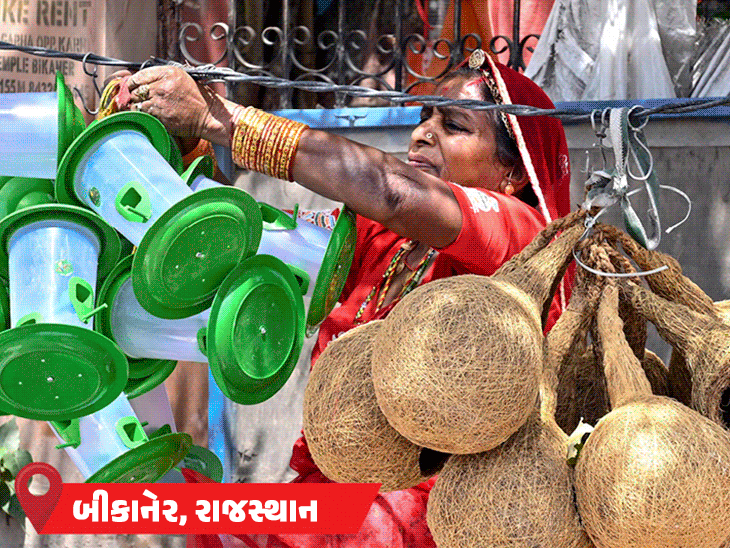 પ્રયાગરાજ દેશમાં સૌથી ગરમ; રાજસ્થાન સહિત 5 રાજ્યોના 14 શહેરોમાં પારો 44°Cને પાર, ઓડિશામાં શાળાઓ બંધ.