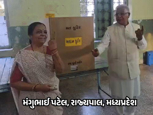 Gujarat Local Elections Begin for 10,000 Key Government Seats