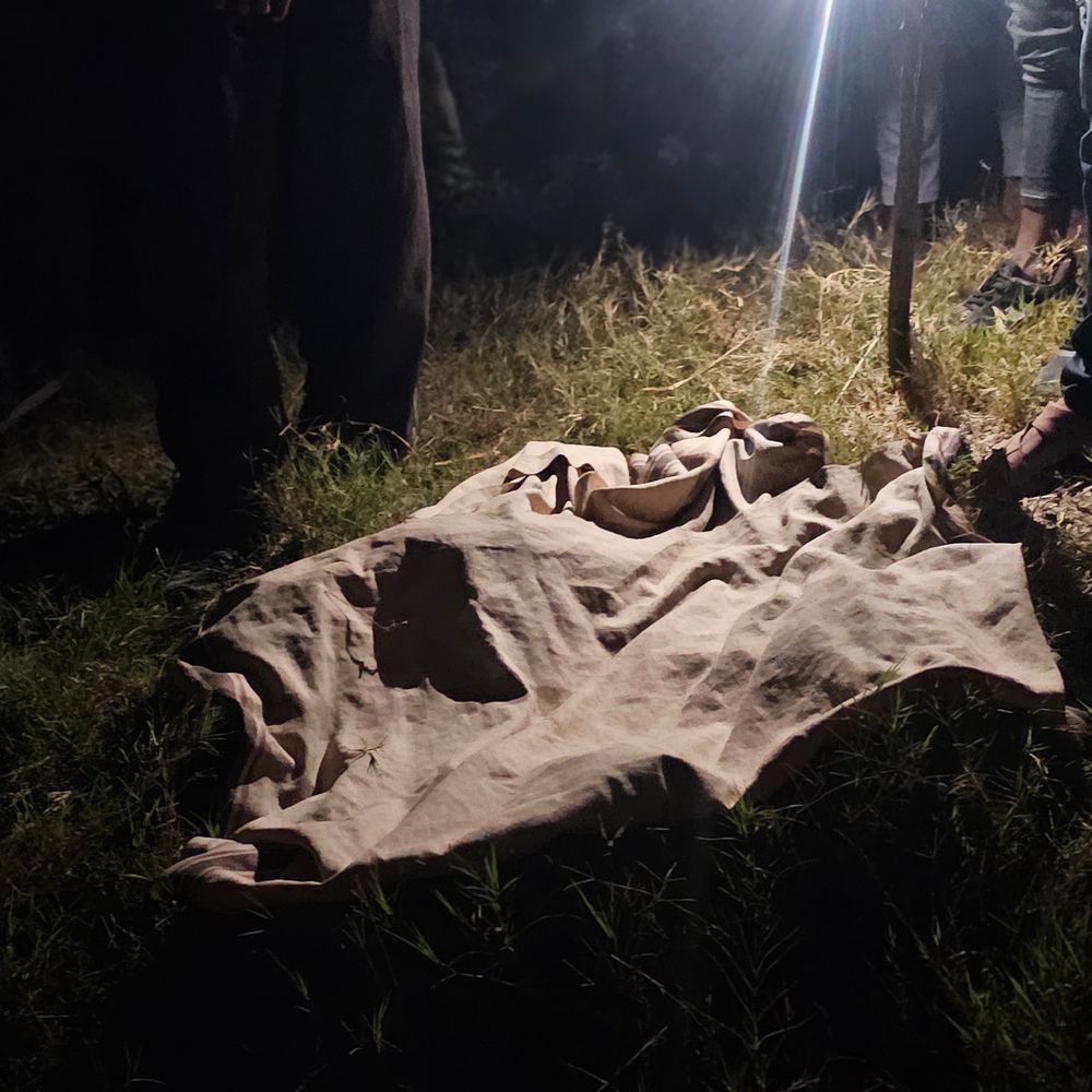 ઉનાના ડમાસામાં સિંહે 4 વર્ષની બાળકીને ફાડી ખાધી:માતાની નજર સામેથી સાંજે જડબાથી દબોચી ખેતરમાં ગાયબ, લોકોએ બૂમાબૂમ કરતાં લાશ છોડી નાસ્યો