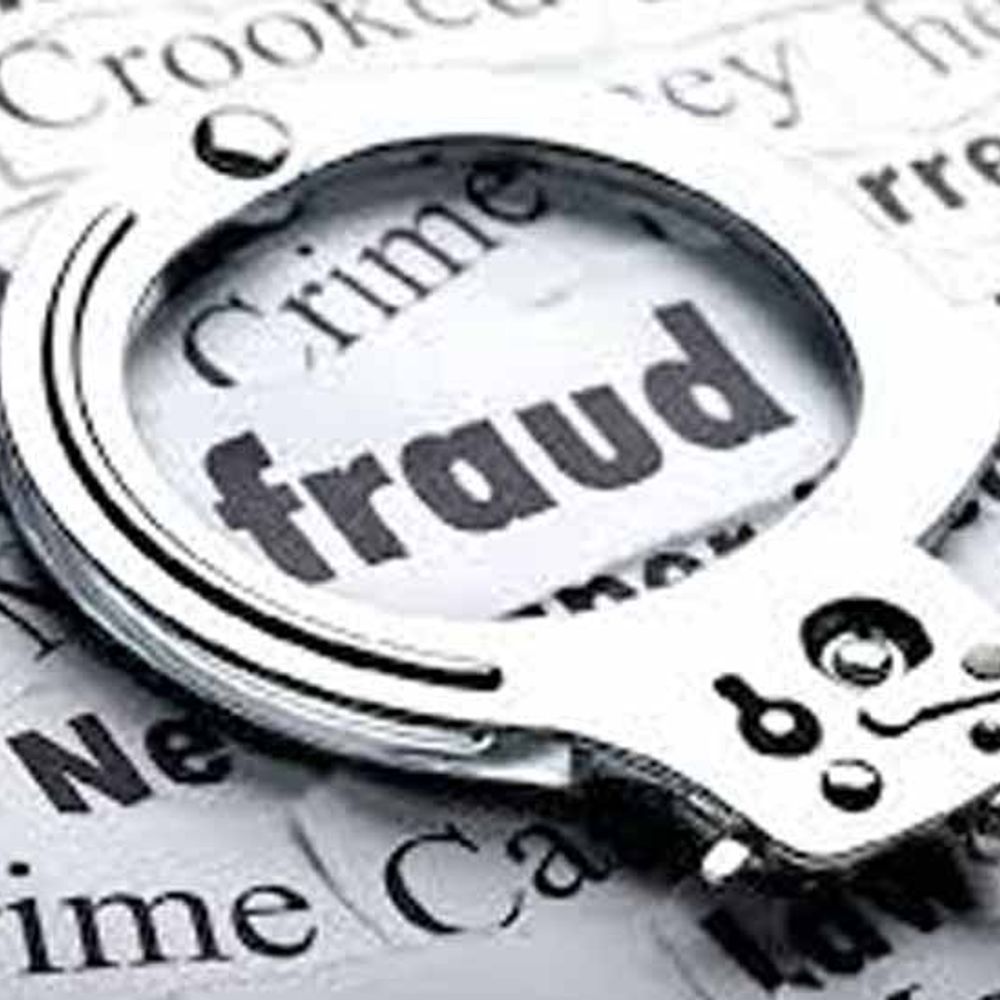 સોશિયલ મીડિયા પ્લેટફોર્મ પર આકર્ષક વળતરની યોજનાથી સાવધાન:ઇન્ટરનેશનલ માર્કેટમાં રોકાણ કરી રોજના 2 ટકાના દરે 100 દિવસ સુધી ગેરંટેડ વળતરની લાલચ આપી વડોદરાની મહિલાએ ભરૂચના 2 લોકો સાથે 25 લાખની ઠગાઈ આચરી