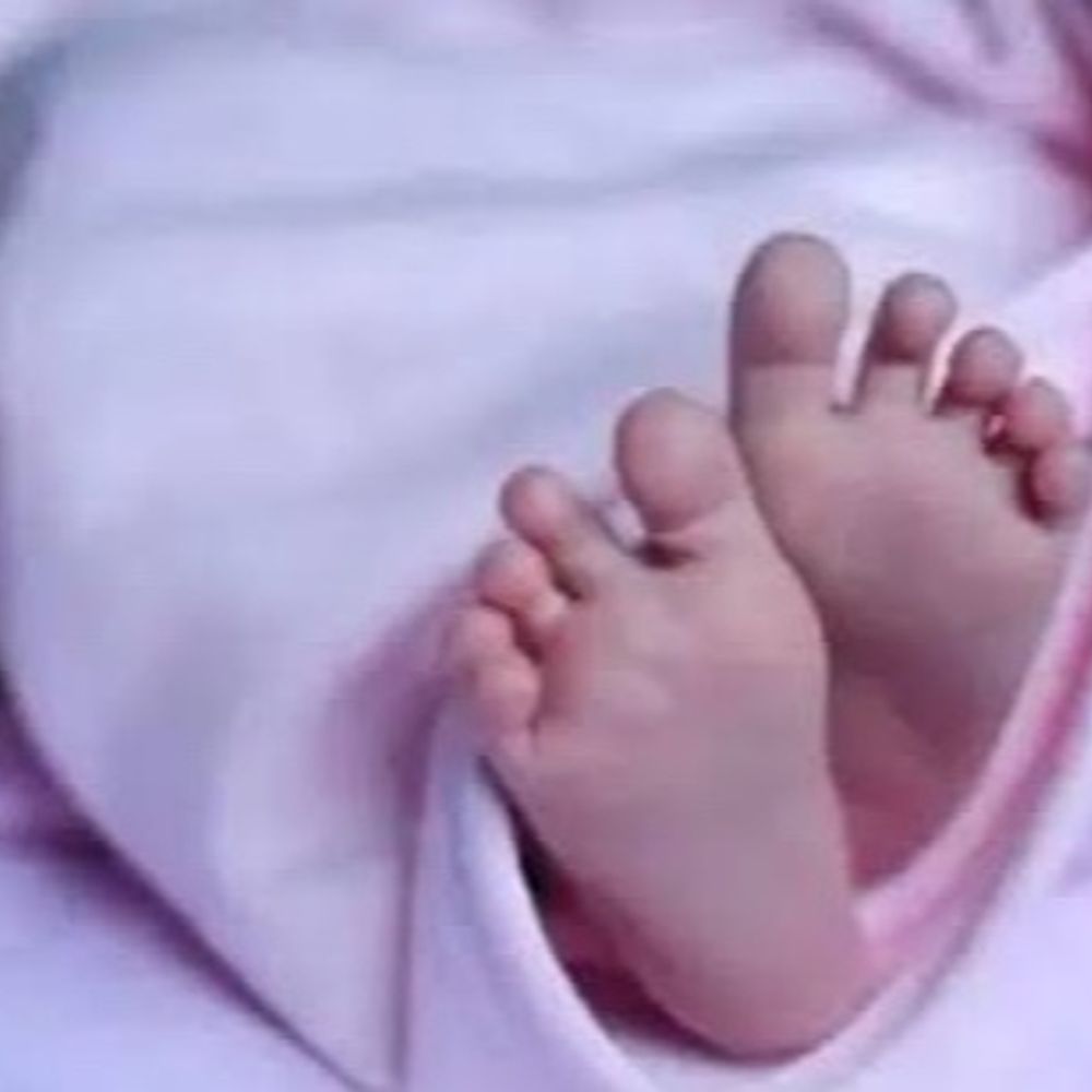 પરિવારથી વિખુટા પડેલા 12 વર્ષના બાળકનું મિલન:આણંદપરમાં વાડીની કુંડીમાં ડૂબી જતા 3 વર્ષના બાળકનું મોત, ગુંદાવાડીમાં બીજા માળેથી પડી જતા 65 વર્ષીય વૃધ્ધાનું મોત