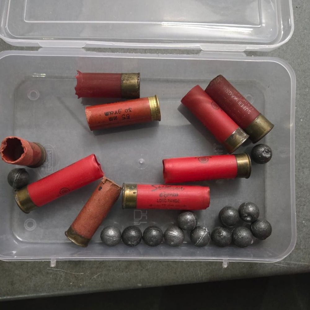 અમરપુરામાં ગેરકાયદેસર હથિયાર ઝડપાયા:બે બંદૂક, કારતૂસ સાથે એક શખસની ધરપકડ