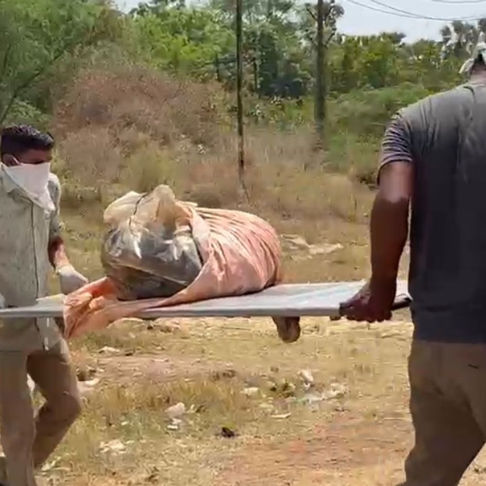 ડી-કમ્પોઝ હાલતમાં મૃતદેહ મળ્યો:નવલખી મેદાનમાં અવાવરુ જગ્યામાં ખાડામાંથી અજાણી વ્યક્તિની લાશ મળી, 15 દિવસ પહેલા મોત થયાનું અનુમાન