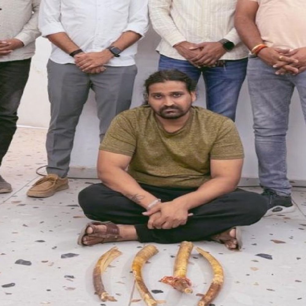 હાથી દાંત સાથે ઝડપાયેલા આરોપીના 5 દિવસના રિમાન્ડ મંજૂર:આંતરરાજ્ય તસ્કરીના નેટવર્કની આશંકા, વનવિભાગ દ્વારા તપાસ તેજ