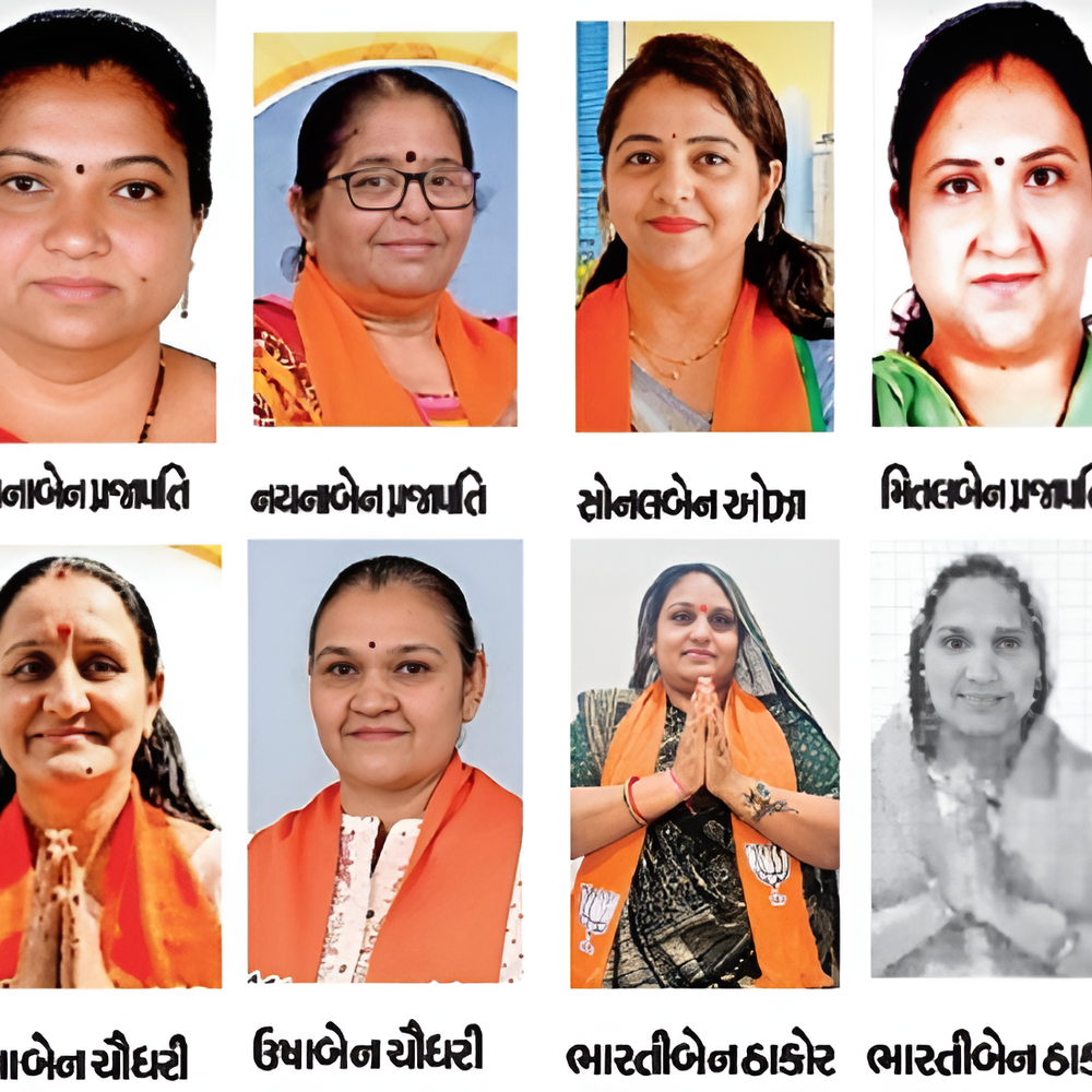 મેયર પદની રેસમાં 8 મહિલા દાવેદાર, શિક્ષણનો વ્યાપ પ્રાથમિકથી બીએડ સુધી
