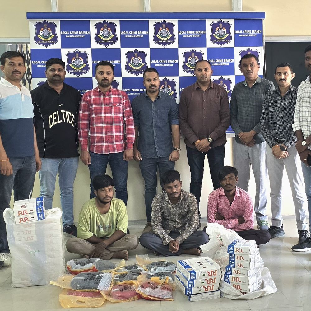 ઇલેક્ટ્રિક કેબલની ચોરી કરતી ગેંગનો પર્દાફાશ:રહેણાક મકાનોમાંથી ચોરી કરતી ગેંગના 3 શખસને LCBએ ₹2.04 લાખના મુદ્દામાલ સાથે ઝડપ્યા