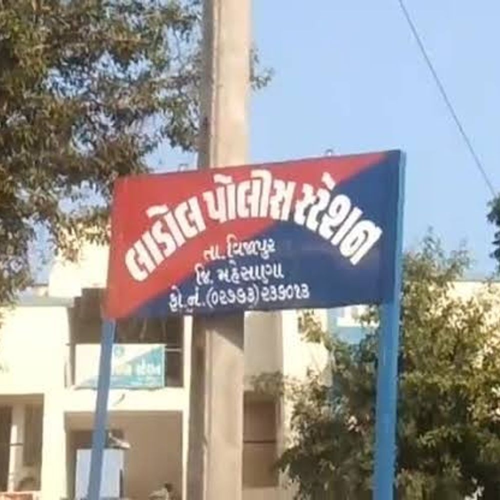 વિજાપુરના ગઢડા ગામે છેડતી અને હુમલાની ઘટના:વૃદ્ધાનું ગળું દબાવી બ્લાઉઝ ફાડી નાખ્યું, છોડાવવા પડેલી મહિલાના સોનાના દાગીના તોડ્યા