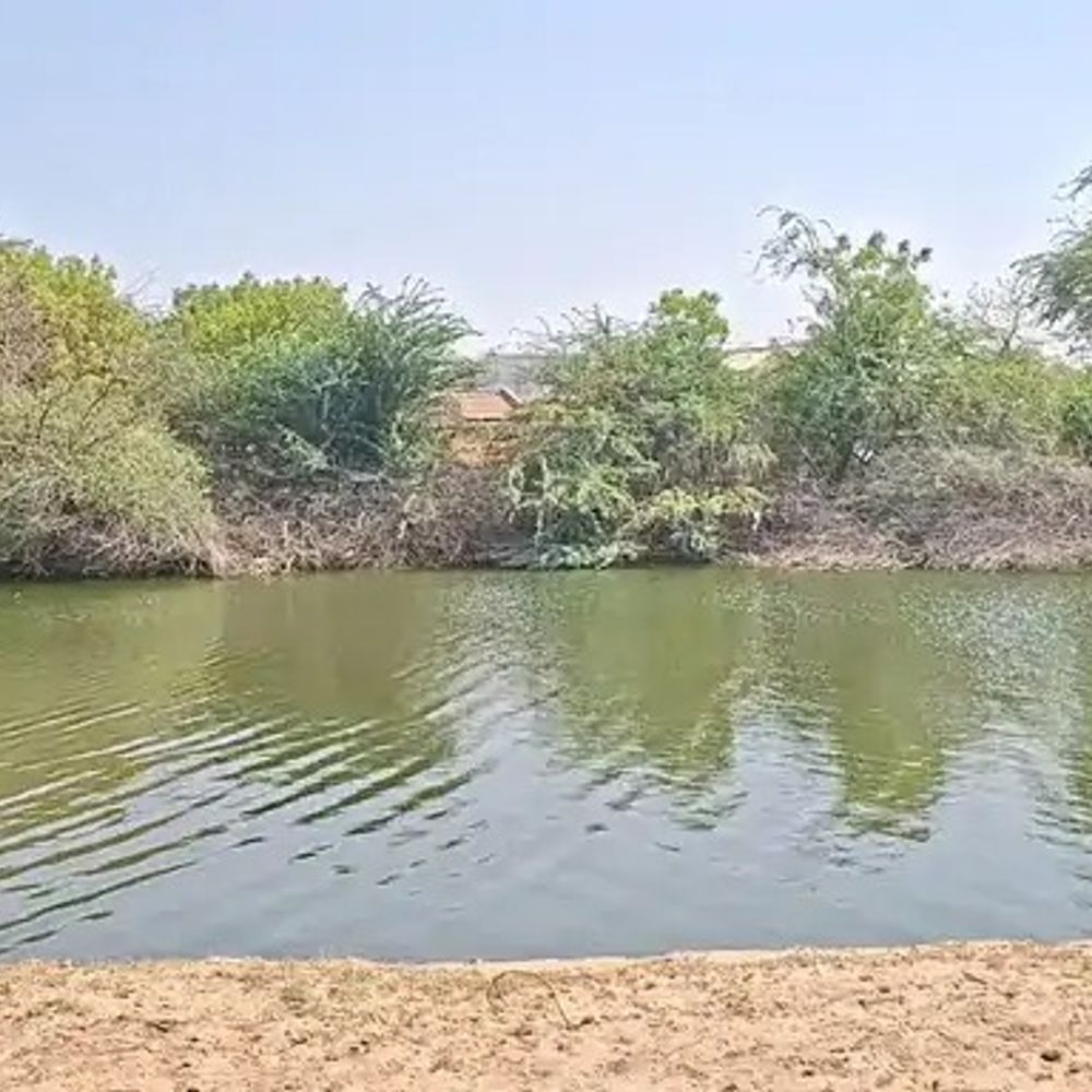 જમીન વિહોણા થવાનો ખેડૂતોને ભય:2017થી ધરણીધરના મીઠાવી ચારણમાં વરસાદી પાણી ભરાવાની સમસ્યા, 50% જમીન બિનઉપજાઉ બની