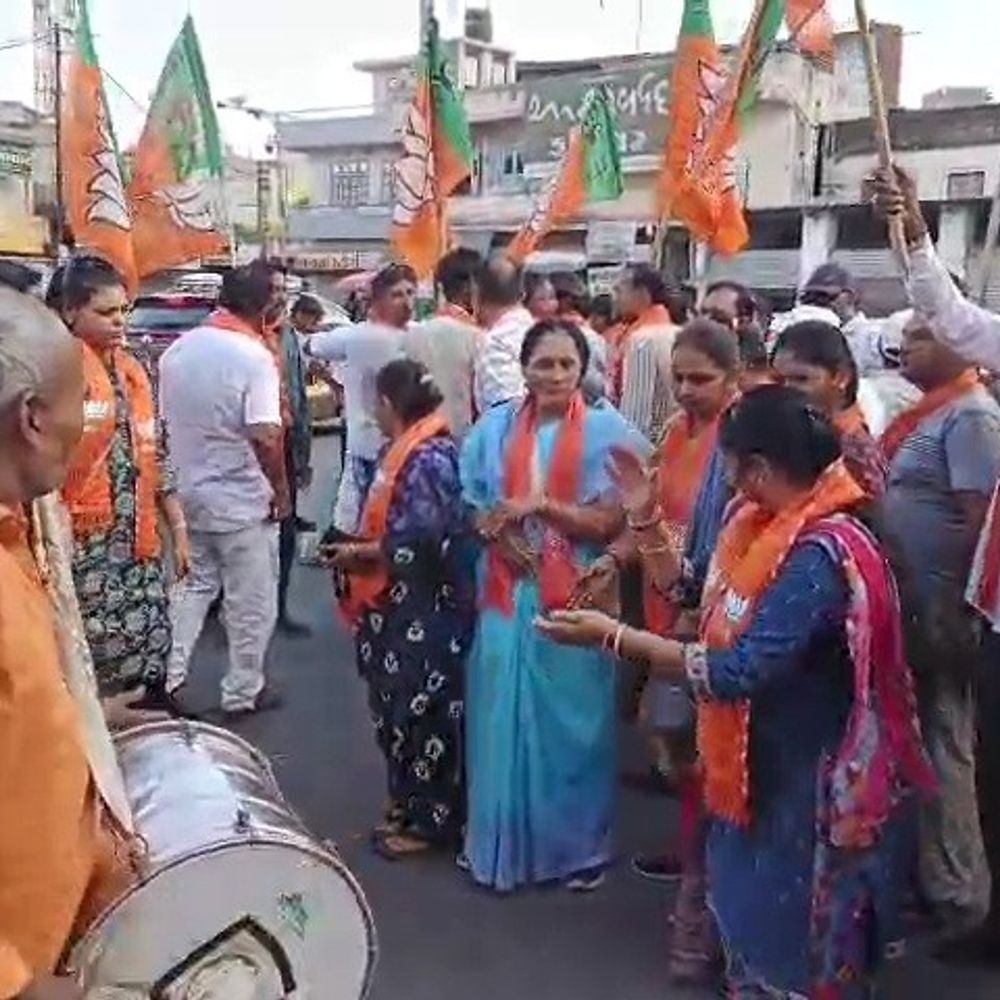 ત્રણ રાજ્યોમાં ભાજપનો વિજય:બોટાદમાં કાર્યકરોએ આતશબાજી કરી, મીઠાઈ વહેંચી ઉજવણી કરી