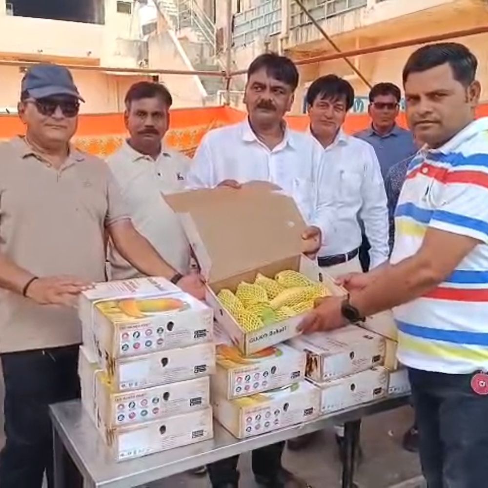 પાટણ માર્કેટયાર્ડમાં ઓર્ગેનિક કેરી સ્ટોર શરૂ:ગુજકોમાસોલની વિદ્યાર્થીઓને આર્થિક મદદની પહેલ