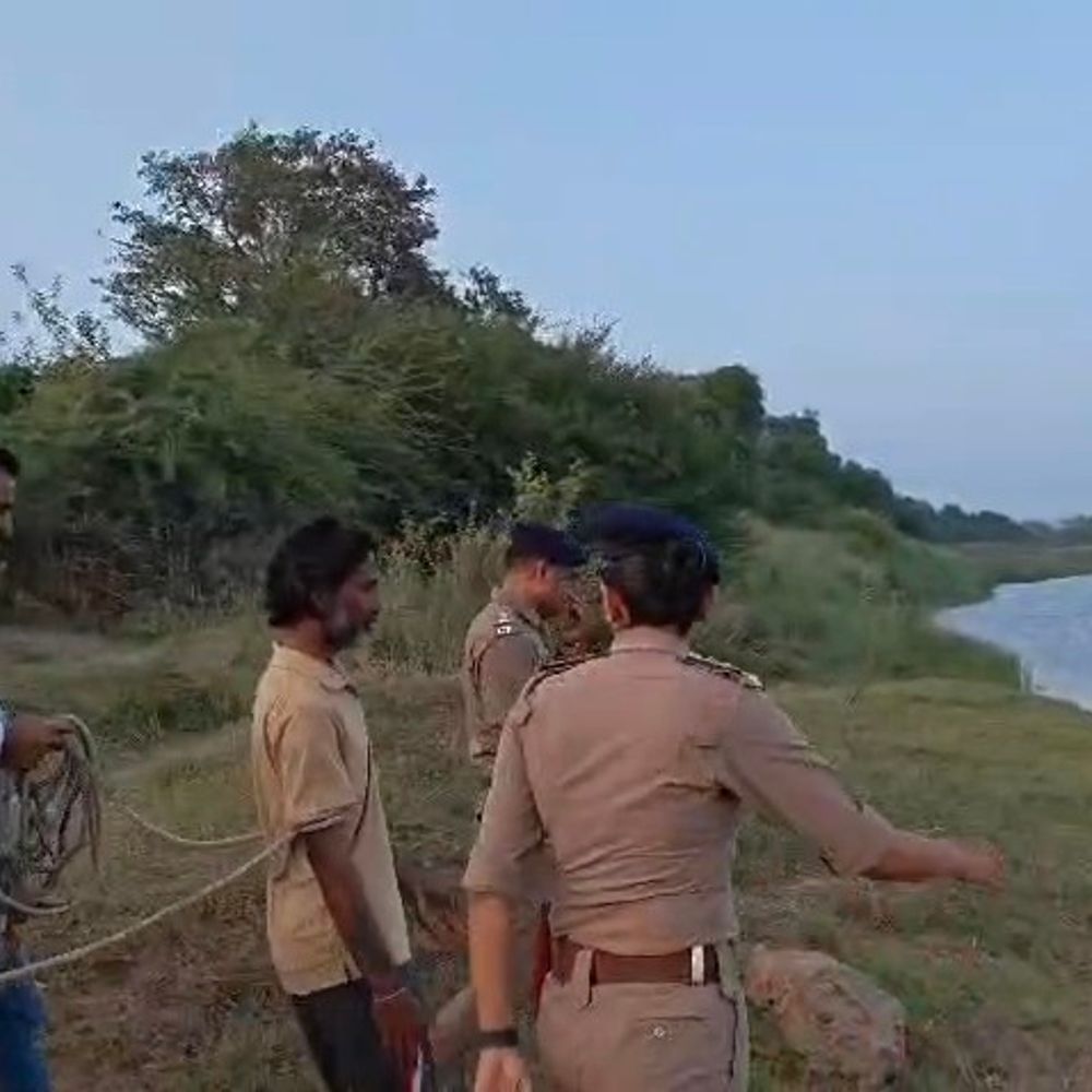 શિક્ષકે નોકરીએ રાખેલા મિત્રનું મર્ડર કરી લાશ સગેવગે કરી!:સોનલધામ બીજ મુદ્દે ઝઘડા થતાં પથ્થરના 3 ઘા ઝીંકી પતાવી દીધો, ફળિયામાં લાશ સળગાવી અસ્થિને ભાદરમાં વહાવી દીધા