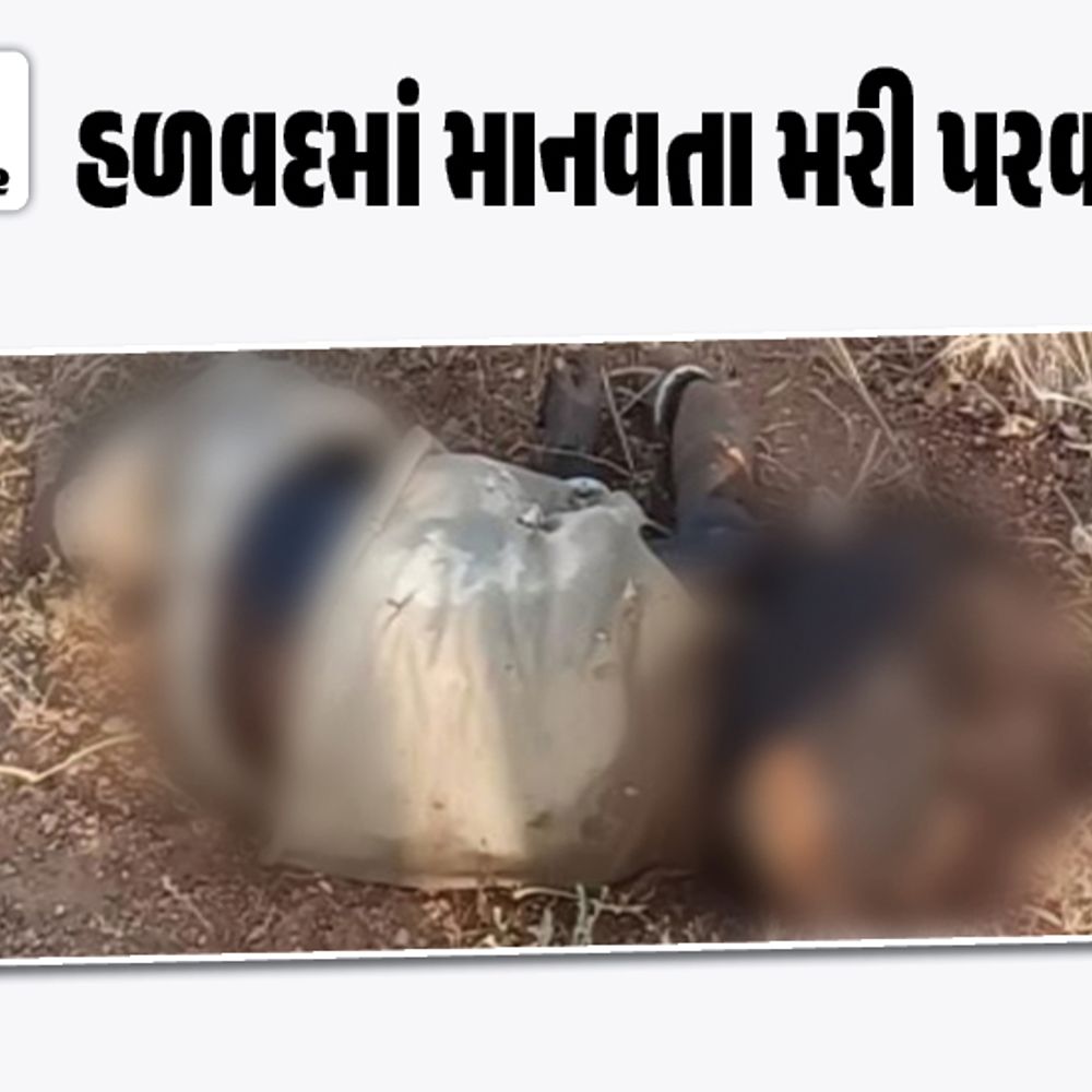 કળિયુગી પિતાએ એક વર્ષના માસૂમ દીકરાને ત્યજી દીધો:4 લગ્ન કર્યા, ત્રીજી પત્નીનું સંતાન ચોથી પત્ની રાખવા ન માંગતા મરવા માટે ઝાડીઓમાં ફેંકી દીધો, ભૂખ-ગરમીમાં રિબાઈને બાળકનું મોત