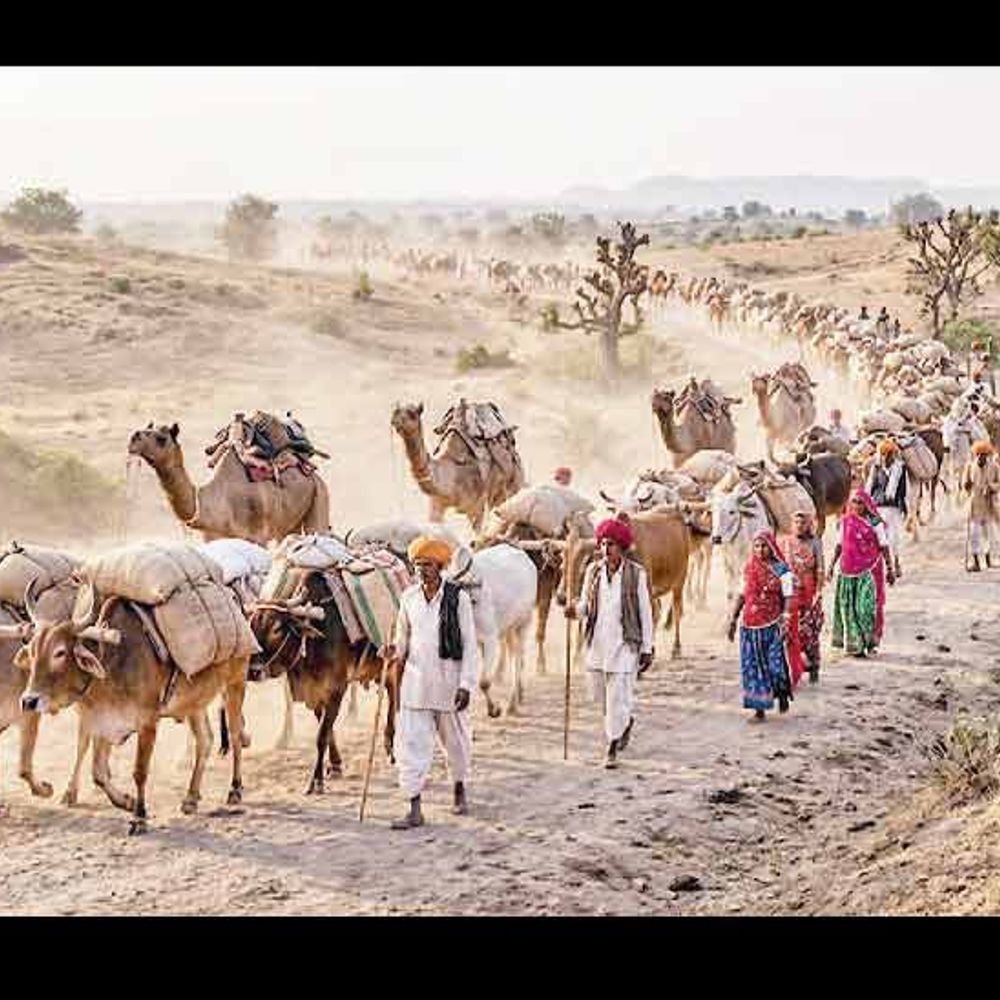 મેંદી રંગ લાગ્યો:માળવેથી પોઠયું હાલિયું રે, વણજારા વાલમ લોલ