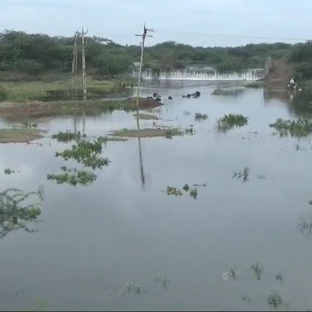 ગુજરાત હાઇકોર્ટનો સ્ટેટ્સ કવો જાળવવા હુકમ:બોટાદના નાગલપર અને ઢીંકણીયાના ગામમાં રહેવાસીઓ વચ્ચે તળાવને લઈને મતભેદ, ઓથોરિટીએ અમુક ભાગ તોડવા શરૂઆત કરી હતી
