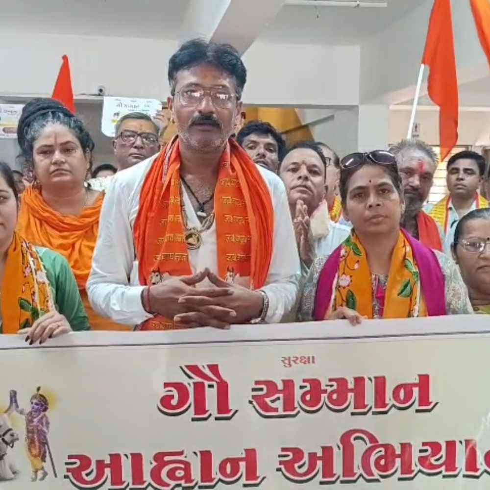 પાટણમાં ગૌહત્યા પ્રતિબંધ માટે રેલી યોજાઈ:સંતો-મહંતો અને સનાતની હિન્દુઓ મોટી સંખ્યામાં જોડાયા