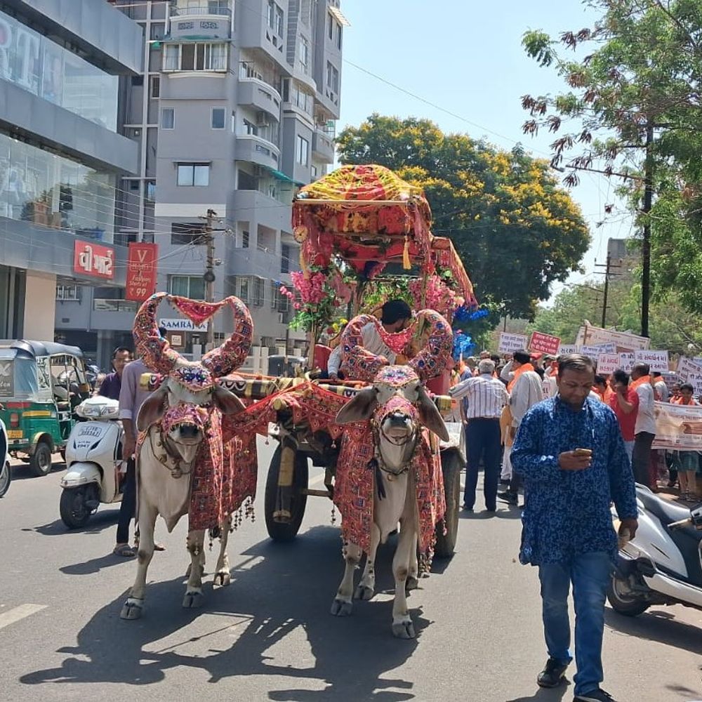 જામનગરમાં ગૌ સમ્માન અભિયાન હેઠળ વિશાળ રેલી:રાષ્ટ્રપતિ, PM, રાજ્યપાલને આવેદનપત્ર માટે કલેક્ટરને રજૂઆત
