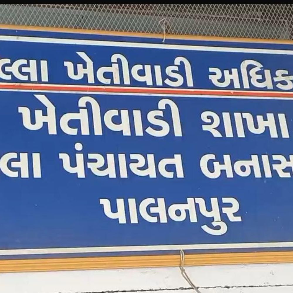 તેલીબિયાં પાક બિયારણ સહાય માટે i-Khedut પોર્ટલ ખુલ્યું:ખેડૂતો 17 મે સુધી મગફળી, સોયાબીન, દિવેલા, તલ માટે અરજી કરી શકશે